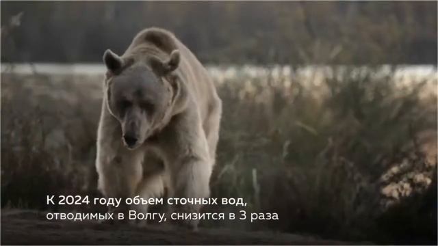 4 октября отмечается Всемирный день защиты животных!