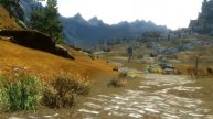 С чем связана проблема шатания камеры в Skyrim?