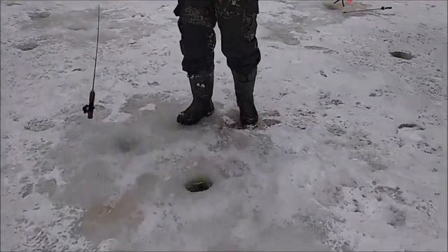 После запуска работают активные и пассивные снасти  Спорт зона  Клёвое место Лосиный остров  Trim
