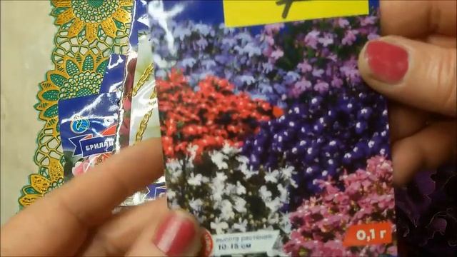 Какие цветы нужно сеять на рассаду в декабре.
