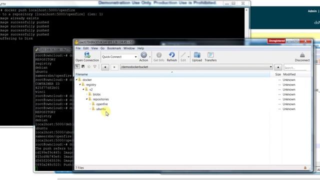 demo IBM cloud Object storage with Docker registry