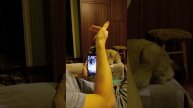 Фунтик поддаётся гипнозу Гипнотизируем Фунтика