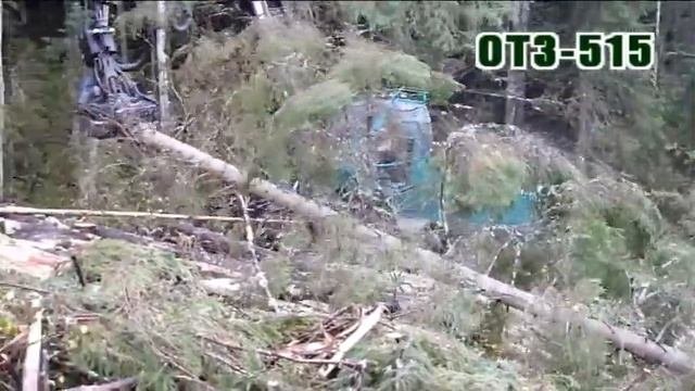 ОТЗ-515 - харвестер Российского производства. Видео на 4 минуты.