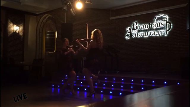 violin project TwoMice