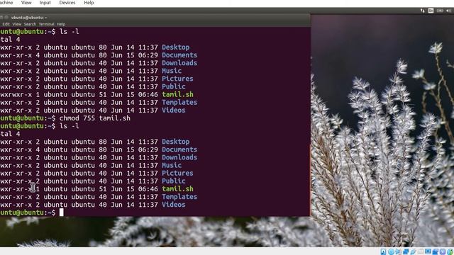 Running scripts in the current open shell
