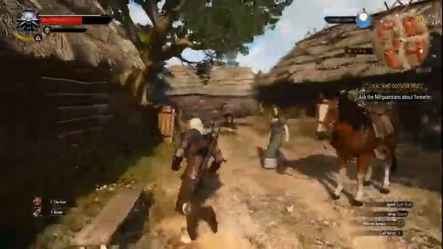 KudaKu Lari Gagah Berani!! : Mencoba cinematic kamera angle dalam The Witcher 3