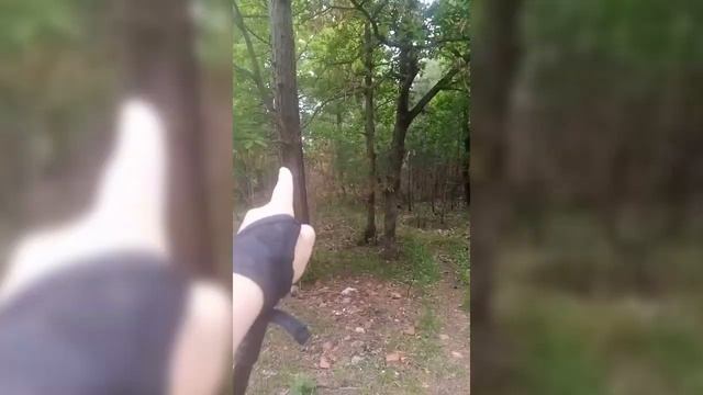 отдых на черном море Ольгинка, Орбита