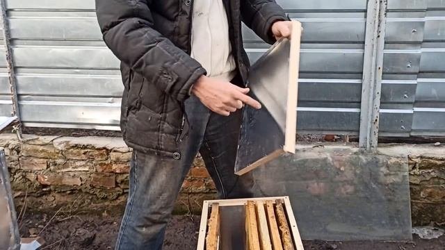 Пчелаводство облет пчёл весной. Что нужно делать пчеловоду после облета пчел на пасеке