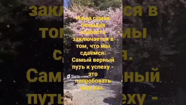 Будьте настойчивыми. Успех приходит к настойчивым..mp4