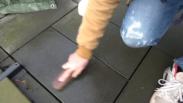 Grünbelag einfach und effektiv entfernen und vorbeugen - Mit Soda Terrasse Pflastersteine reinigen