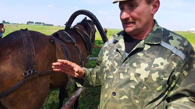 ОБУЧЕНИЕ ЛОШАДЕЙ/ ДРУГ ЗАНИМАЕТСЯ ЛЮБИМЫМ ДЕЛОМ