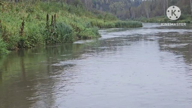 Рыбалка чуть не сорвалась .