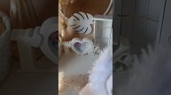 Домовенок Кузя? вяжу на заказ? #вязание #игрушкикрючком