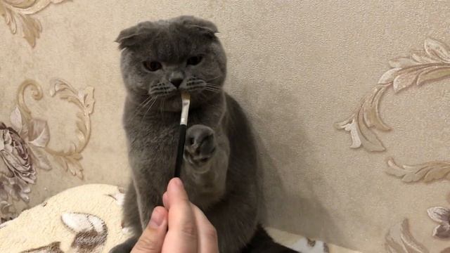 Мастер-класс, как нарисовать кошку. Космический кот улыбается и поет песню
