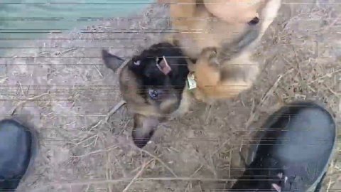 Осень 2018 |Собани Ади и Джони