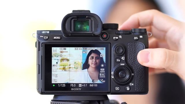 Guía Completa Sobre Los Modos Y Áreas De Enfoque De Las Cámaras Sony (A7 III, A7R III, A6500 etc