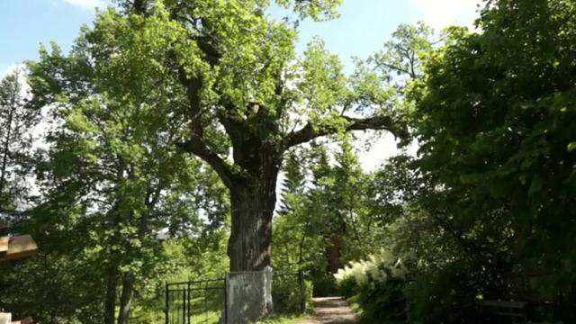 Лето в Псково-Печерском монастыре_170612.mp4