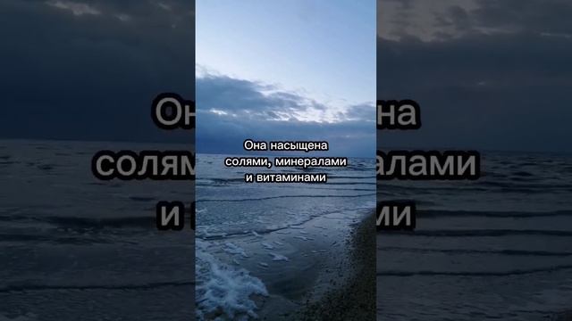 Озеро Эльтон . Россия 🇷🇺