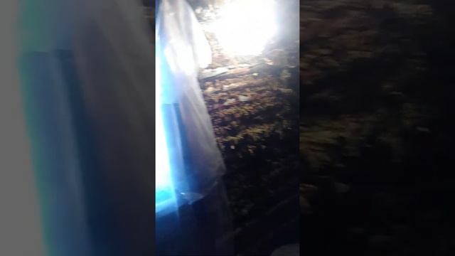 Баня за 3 часа