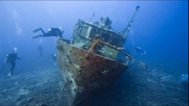 О тягомотине, мире энергии и бессмертии.