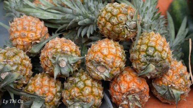 Harvesting Fireballs Fruit goes to the market sell - Build Farm - Lý Thị Ca