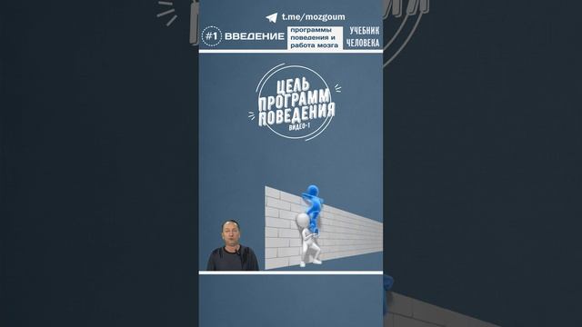 Программы поведения людей и работа мозга. Введение.