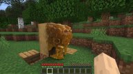 Honeycombs - Realistic Minecraft 2022 Vs 3022
