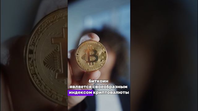 Биткойн основа криптопортфеля💼 #криптовлаюта#крипта#crypto#заработать#обучение#биткойн