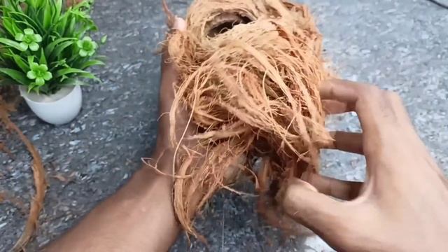 Making a birds nest From waste materialCoconut husk Craft ideasGarden decoration ideas