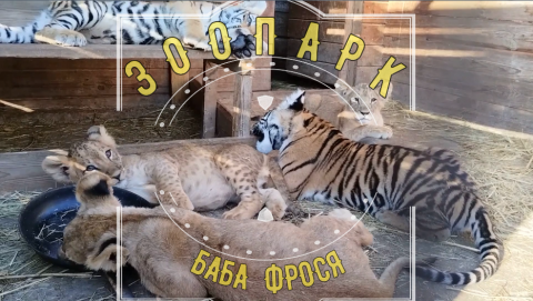 Посетили зоопарк БАБА ФРОСЯ в с.ИВАНЧУГ  Астраханской области.