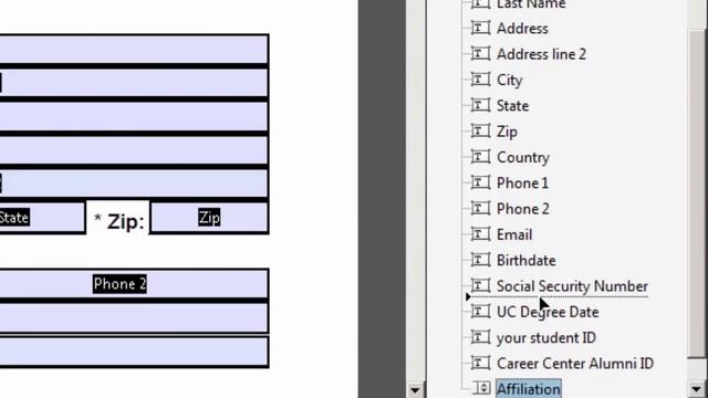 PDF form from Excel template