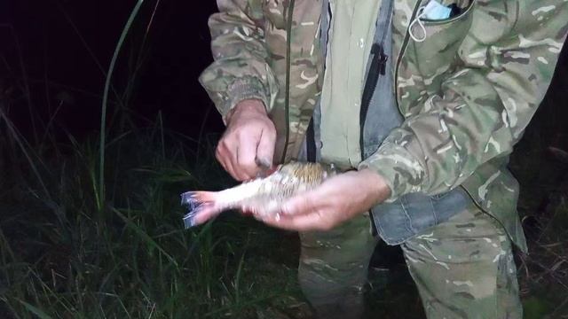 Осенняя рыбалка село Кружиловка.