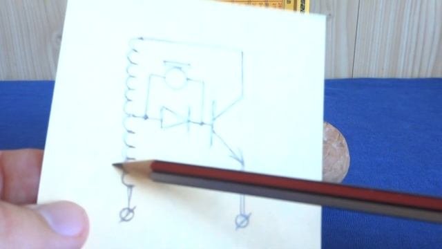 ? РАДИО ЖУЧЕК в ГРЕЦКОМ ОРЕХЕ