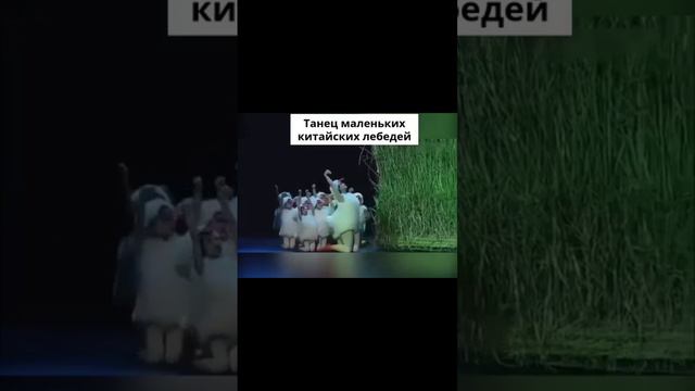 Современный Чайковский-Лебединое озеро