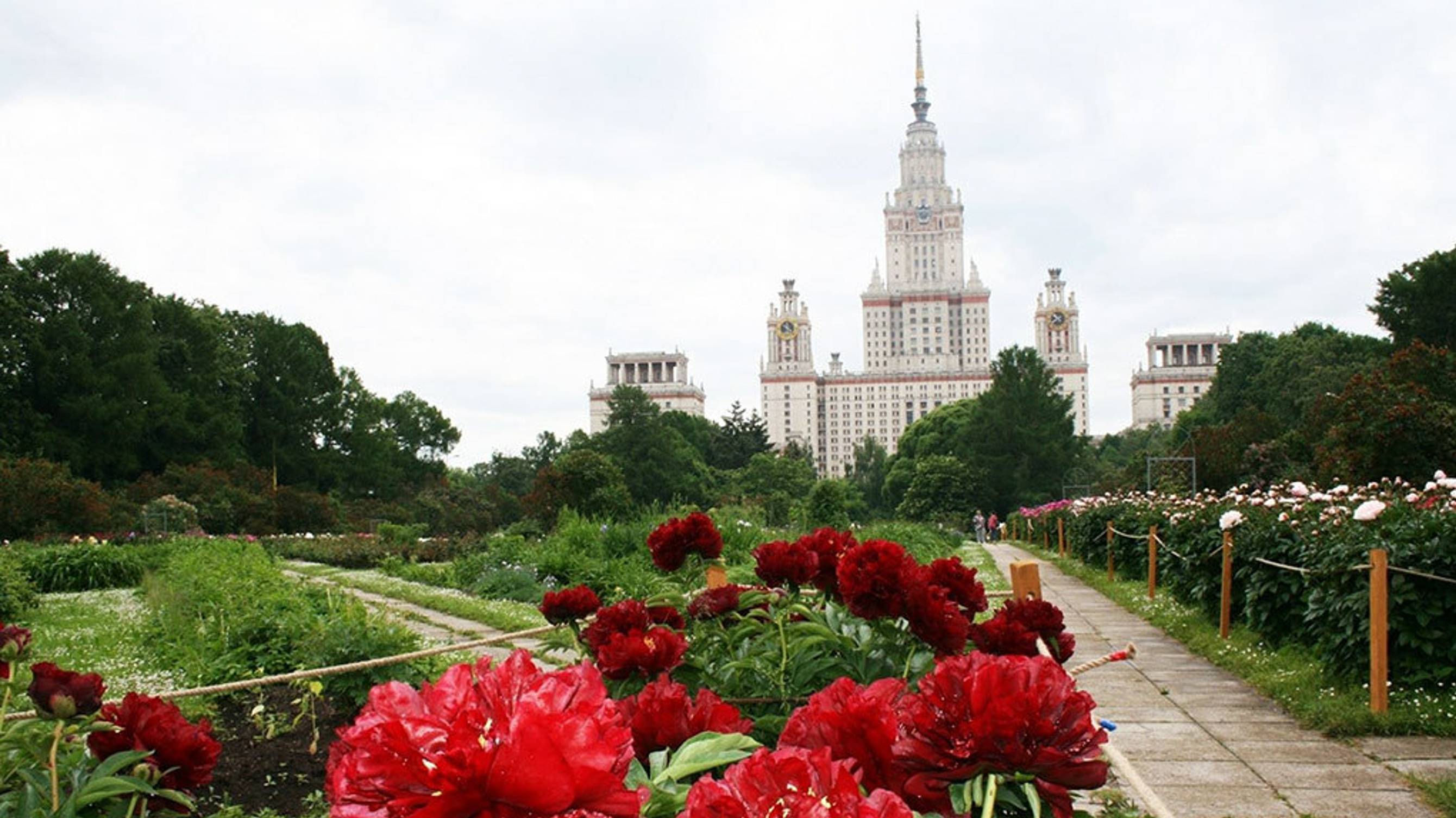 Цветы. Ботанический сад им. Ломоносова. Москва. 🪷🌹🌺🌷🪻 #цветы #сад #москва