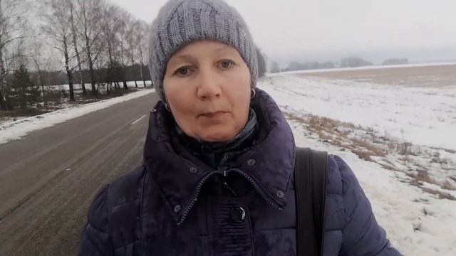 Не удачный отёл у  первотёлки 