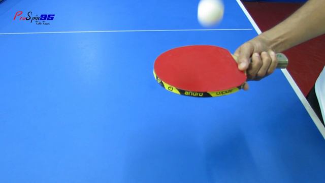 How To Hold A Table Tennis Bat CORRECTLY | Table Tennis Beginner Lessons - 1