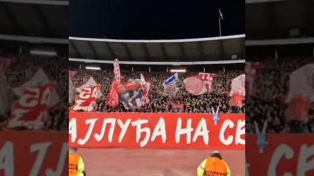 Сербские фанаты