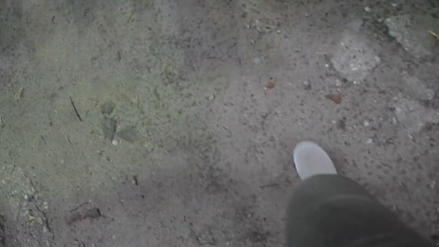 Удивляющий Большой садовый пруд(Академические пруды))