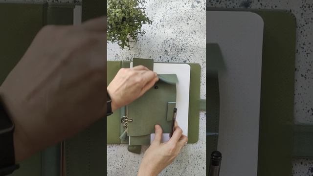 Оливковый красавчик