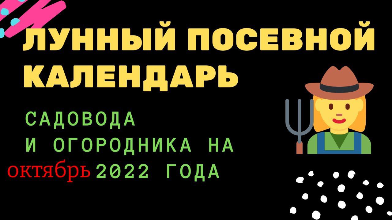 Лунный посевной календарь садовода и огородника на октябрь 2022 года