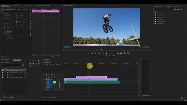 How To Add A Flicker Effect In Premiere Pro