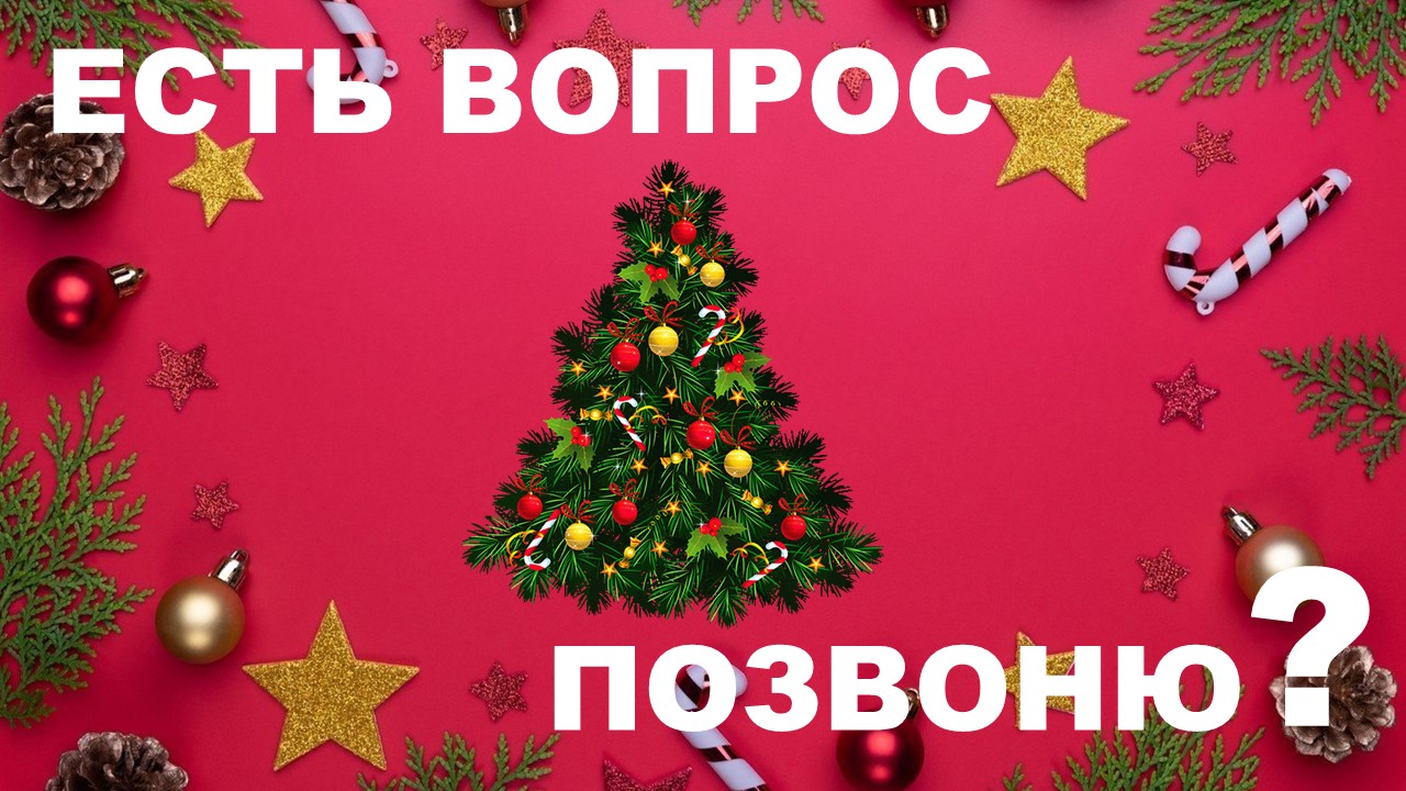 ЕВП / Золотых Марина / Кузьмина Алиса /