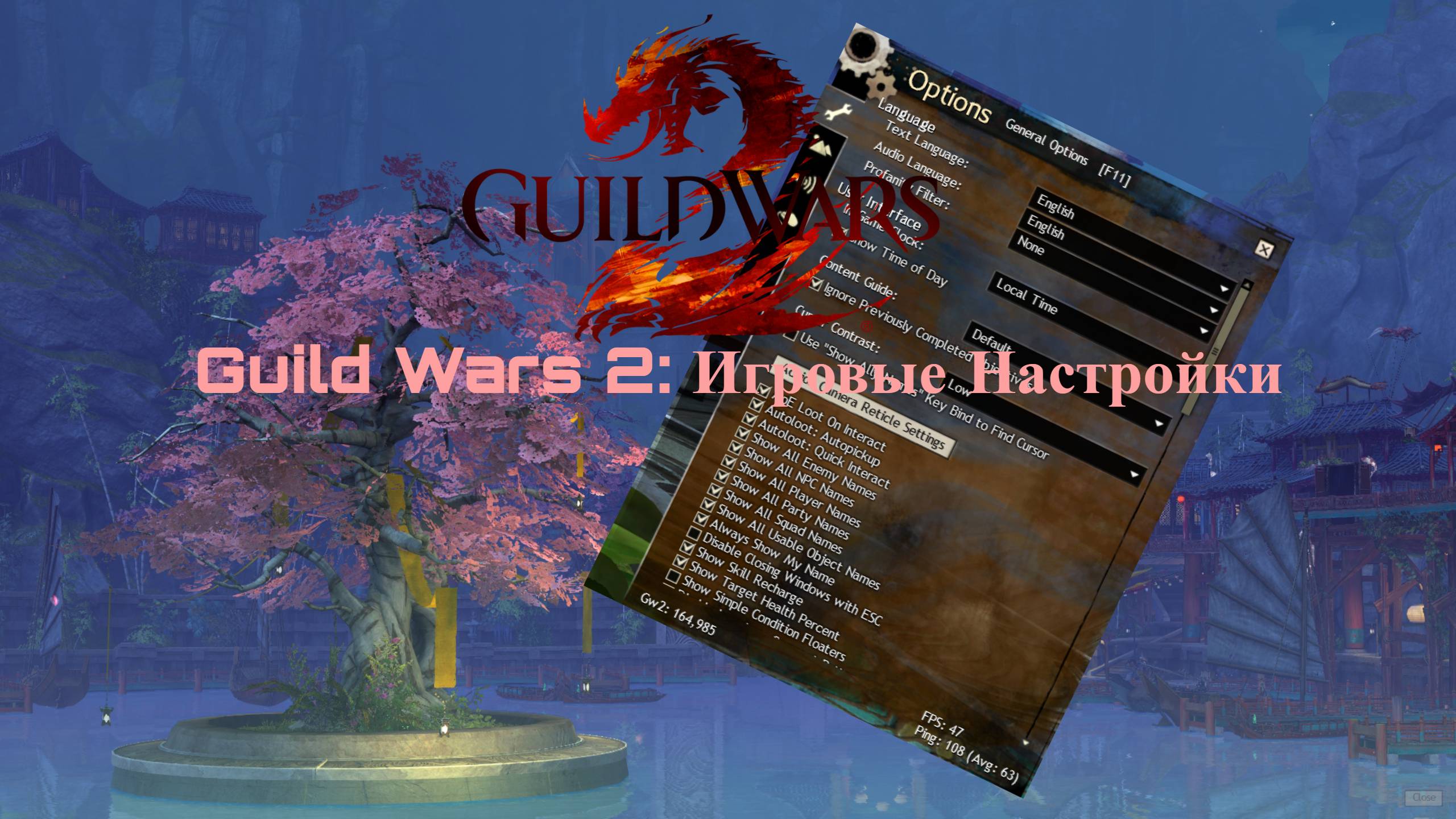 Guild Wars 2: Обзор игровых настроек