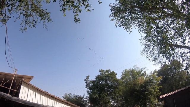 Деревенский отдых Израиль