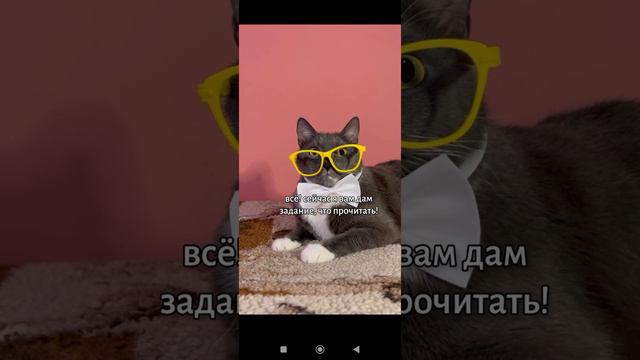 чтения на лето 😸