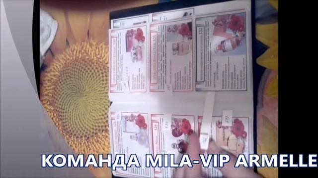Отзыв о визитнице, Соловцова Екатерина, 05/03/2016г