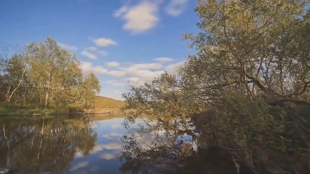 Сборник исполнений на фестивалях в АСС ЛО.