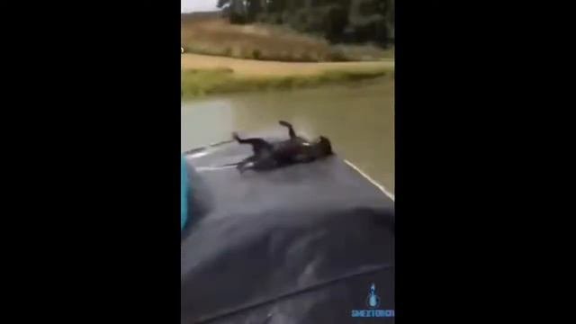 включи когда будет грустно