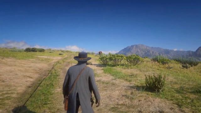 RDR2 Insane QuickDraw  Settings